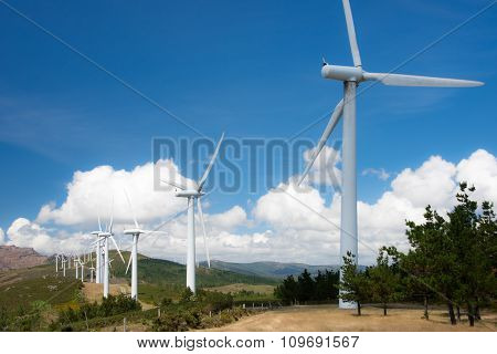 windmill-powered plant on hilltop