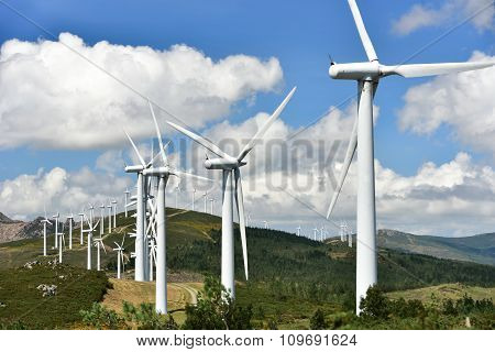 windmill-powered plant on hilltop