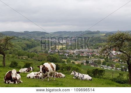 A view over the field in Luxembourg.