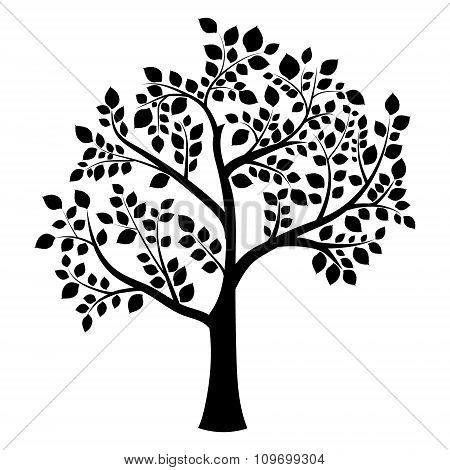 tree silhouette
