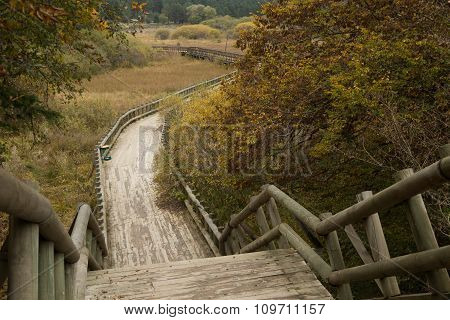 stairs and walkway
