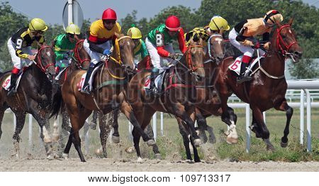 Horse Racing
