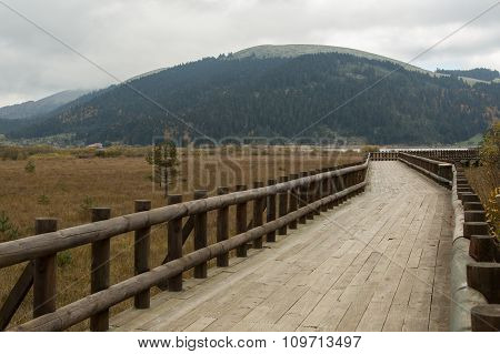 walkway