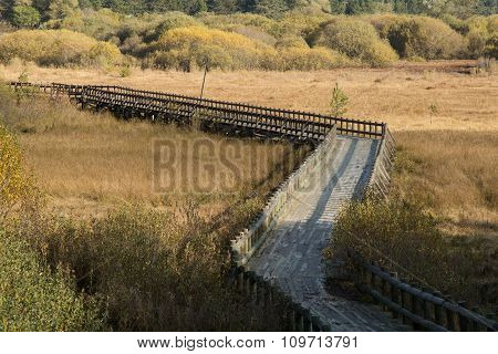 walkway