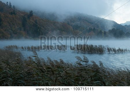 morning mist