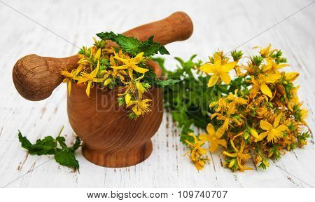 Tutsan Flowers  And Mortar