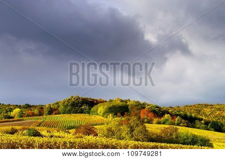 Vivid Colors Of Autumn Vineyards In Andlau, Alsace