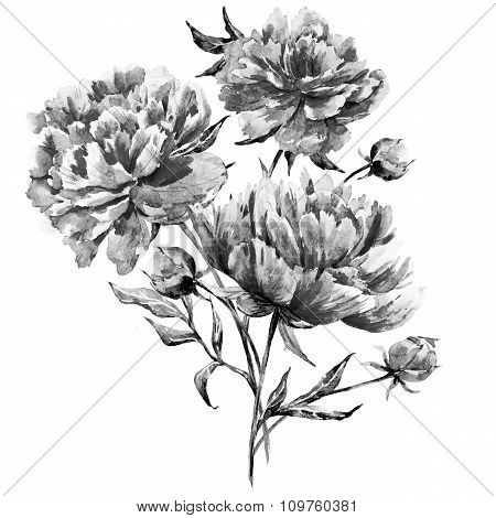 Watercolor raster peony