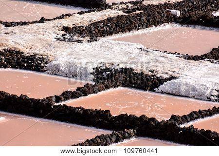 Salt Flats in the Canry islands