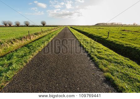 Infinitely Long Asphalt Road In A Rural Area
