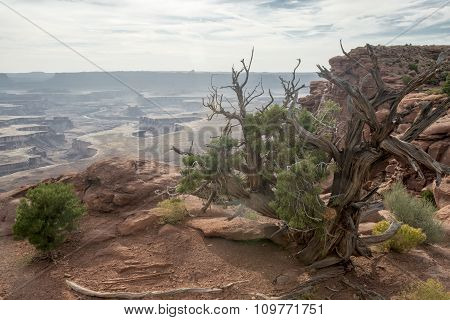 Canyonlands National Park is a U.S. National Park located in southeastern Utah near the town of Moab