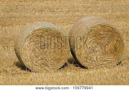 Grainrolls
