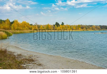 Autumnal landscape with Swan lakes in Sumskaya oblast Ukraine