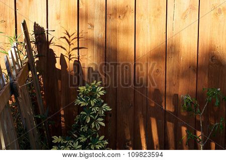 Sun Casting Shadows On Garden Fence