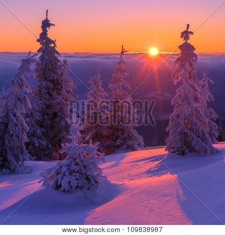Fantastic orange evening landscape glowing by sunlight. Dramatic wintry scene with snowy trees. Kukul ridge, Carpathians, Ukraine, Europe. Merry Christmas!