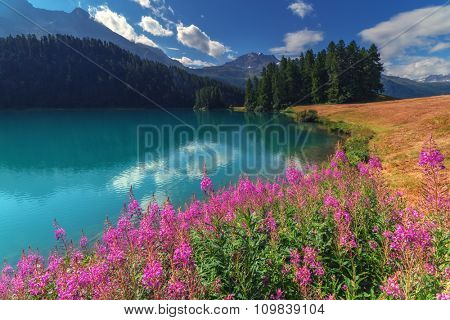 Amazing sunny day at Champferersee lake in the Swiss Alps. Silvaplana village, Switzerland, Europe.
