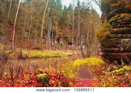 Autumnal Afternoon In 'peklo' Valley In November After Rain