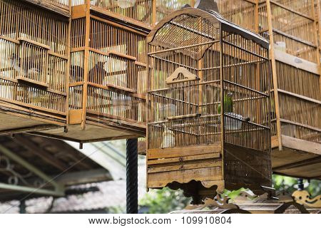 Birds And Parrots At The Pasar Ngasem Market In Yogyakarta, Central Java, Indonesia.