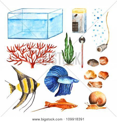 Aquarium objects