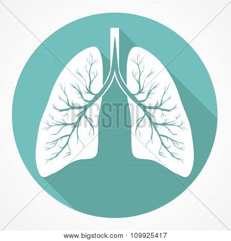 Human Lung flat icon