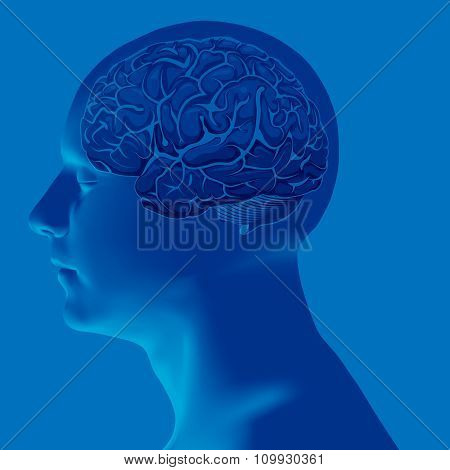 Abstract Human Head with a Brain. Vector Illustration