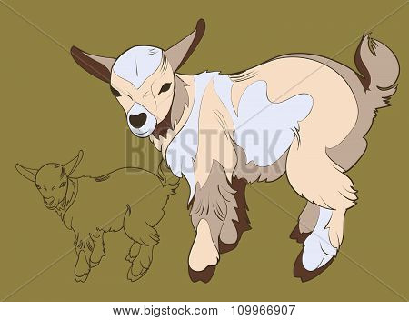 Silhouette of a mountain goatling