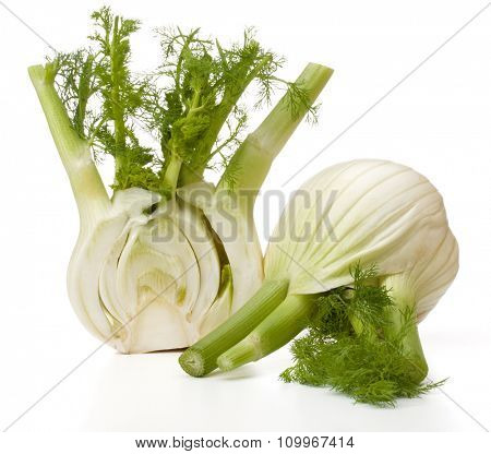 Fresh fennel bulb isolated on white background close up