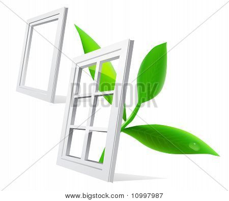 Fenster und Blatt