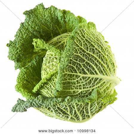 Savoy kapusta głowa