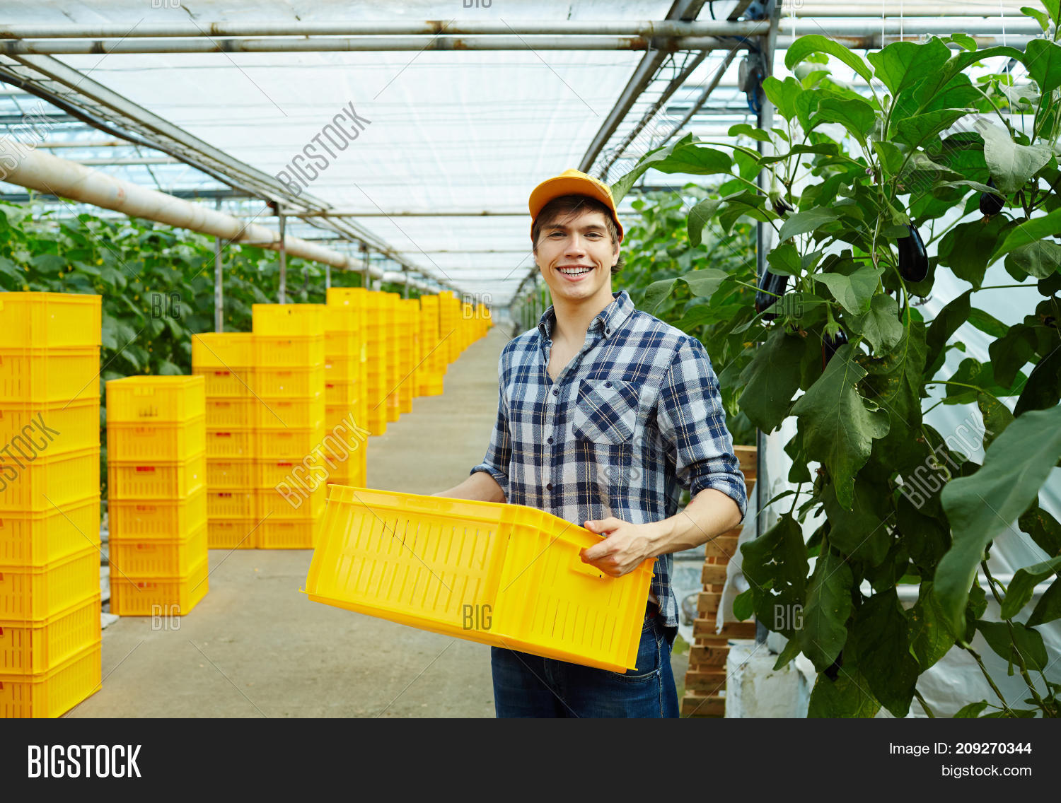 happy greenhouse image photo free trial bigstock greenhouse worker