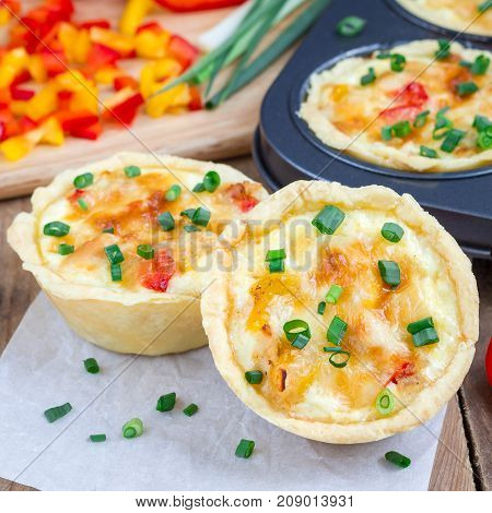 Mini quiche with chicken and bell pepper square format