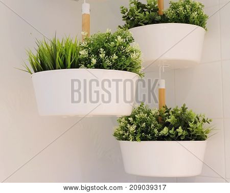 Artificial Green Plants in A White Metal Flower Pots Hanging on The Air for Home and Office Decoration without The Care.