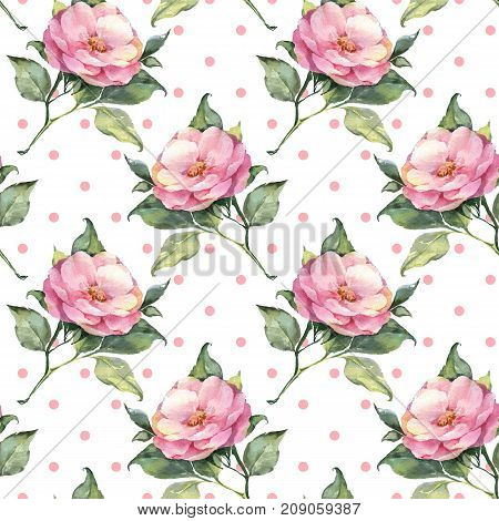 Seamless floral pattern with pink flowers 20
