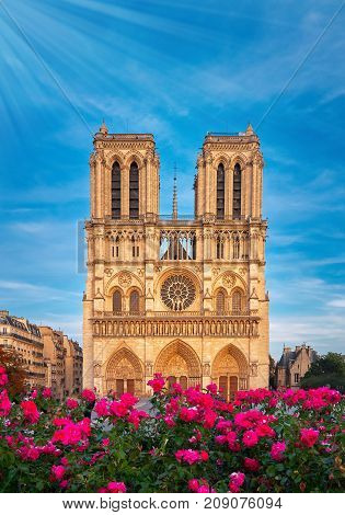 Notre-dame Cathedral In Paris France With Roses