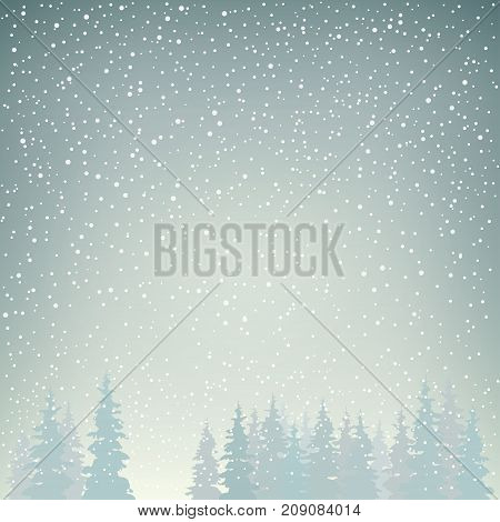 Snowfall in the Forest Snow Falls on the Spruces Fir Trees in Winter in Snowfall Winter Background Christmas Winter Landscape in Gray Shades