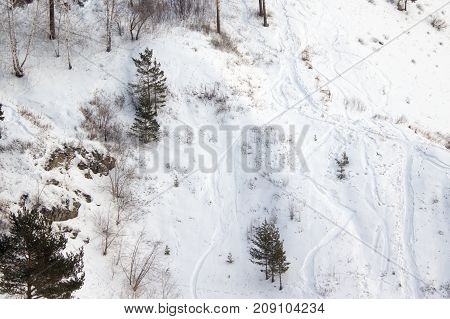 in the winter forest with traces of skis