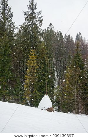 Stack of hay in the snow in the forest Carpathians Ukraine