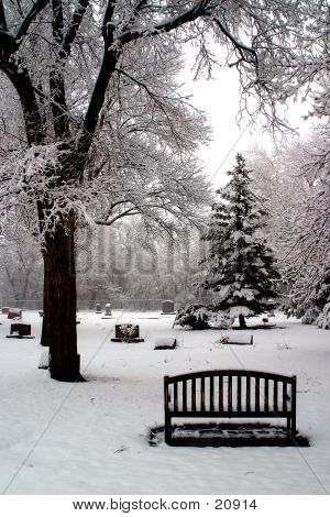 Solidão de Inverno