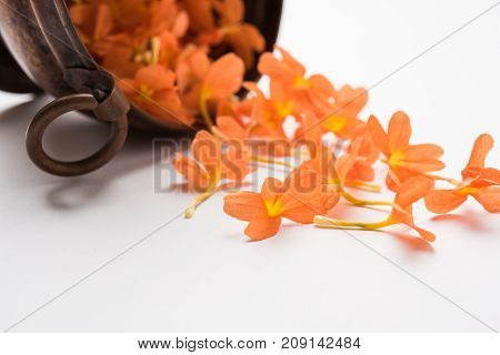 Closeup of vibrant orange crossandra flowers also known as Aboli flowers in India, over white or black background, selective focus