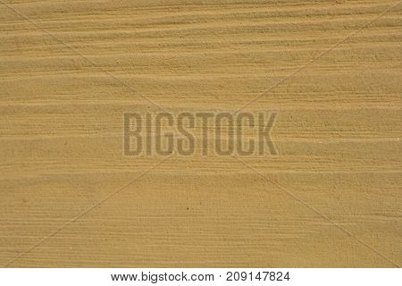 Texture details of an old wooden plunks as background