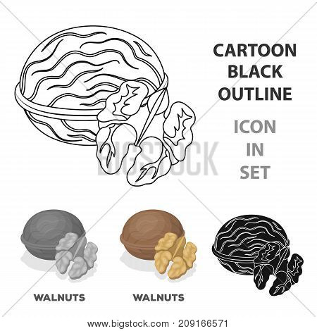 Walnats in the shell.Different kinds of nuts single icon in cartoon style vector symbol stock web illustration.