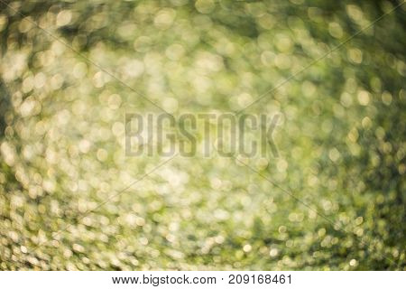 Colorful bokeh background. abstract blurred circles in nature colors. Copyspace for design and text