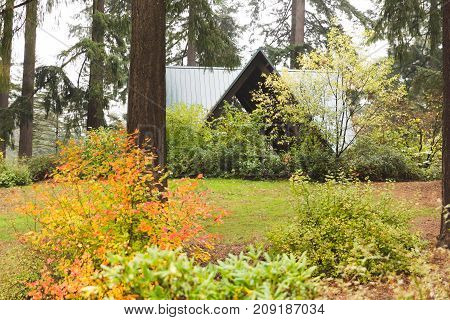 A-frame Building In Forest Park In Autumn