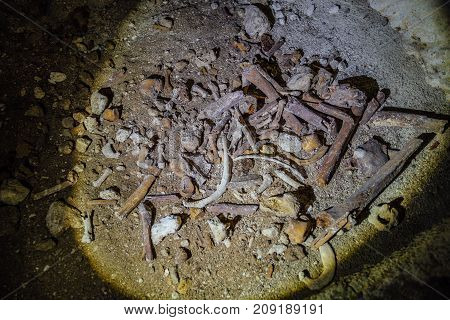 Pile of human bones in the old underground crypt.