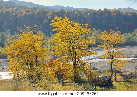 Autumn foliage over romanian river, specific season