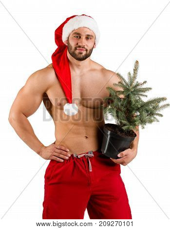 Fitness, naked, smiling man dressed as Santa Claus with Christmas pot tree in his hand and red hat, isolated on white background