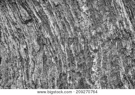 the texture of the stone is grey. a fragment of a boulder close-up. texture of stone for design.