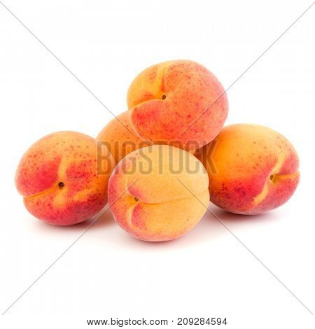 A bunch of apricot fruit isolated on white background cutout