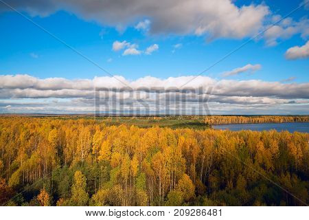 White clouds above the yellow trees, the view from the height . Autumn landscape .