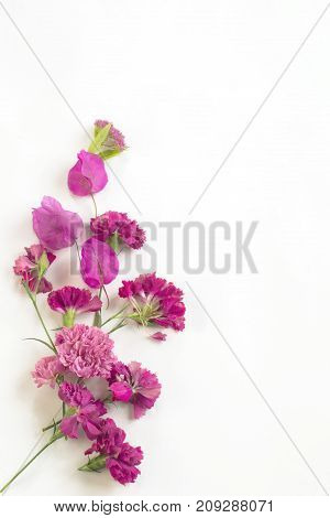 pattern of pink flowers on a white background